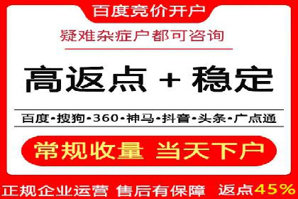 百度广告投放技巧与案例分享